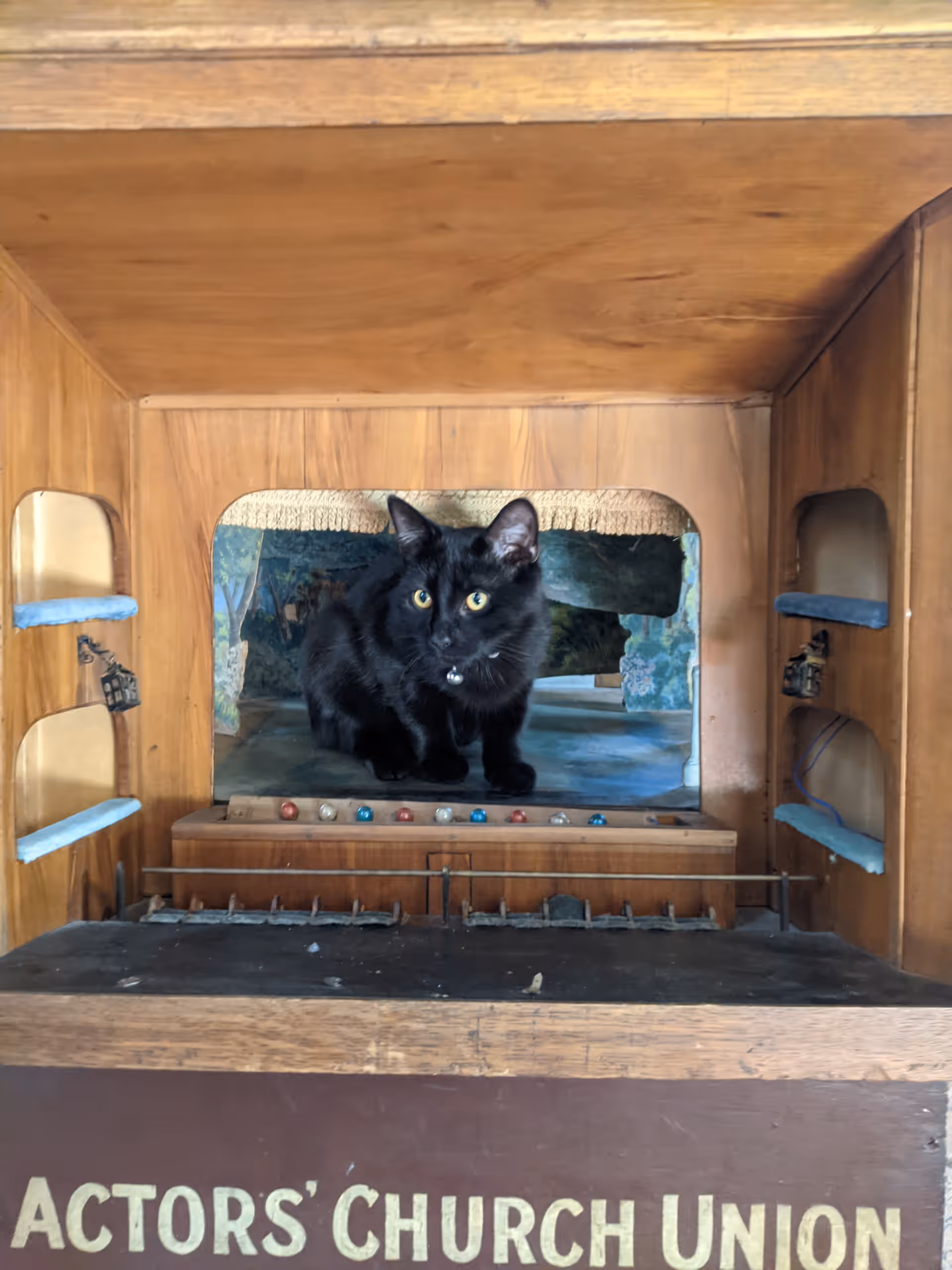 Eliza the black cat peering out from a small wooden stage labelled 'Actors' Church Union'.