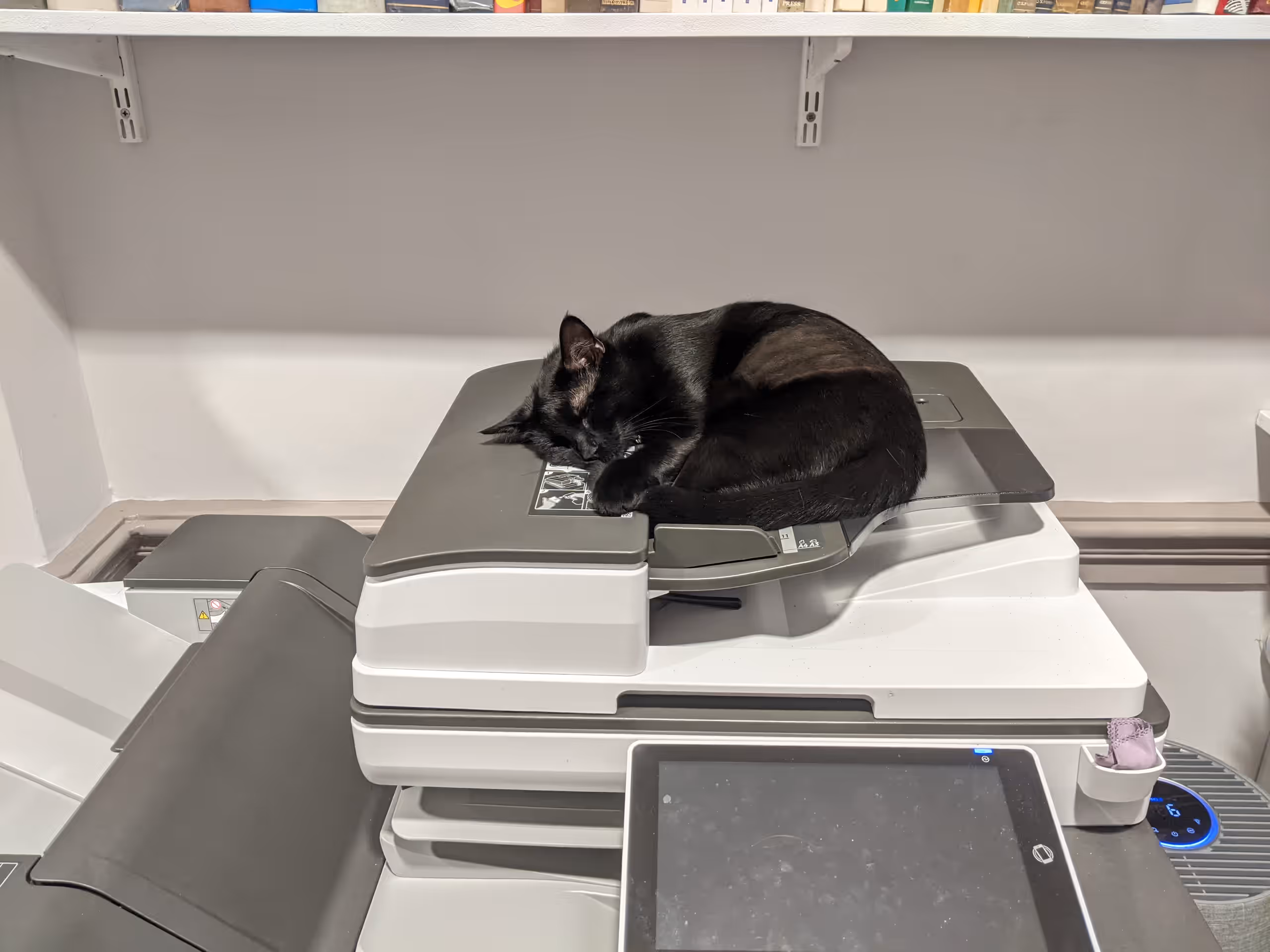 Eliza, the black church cat, curled up asleep on top of the office photocopier.